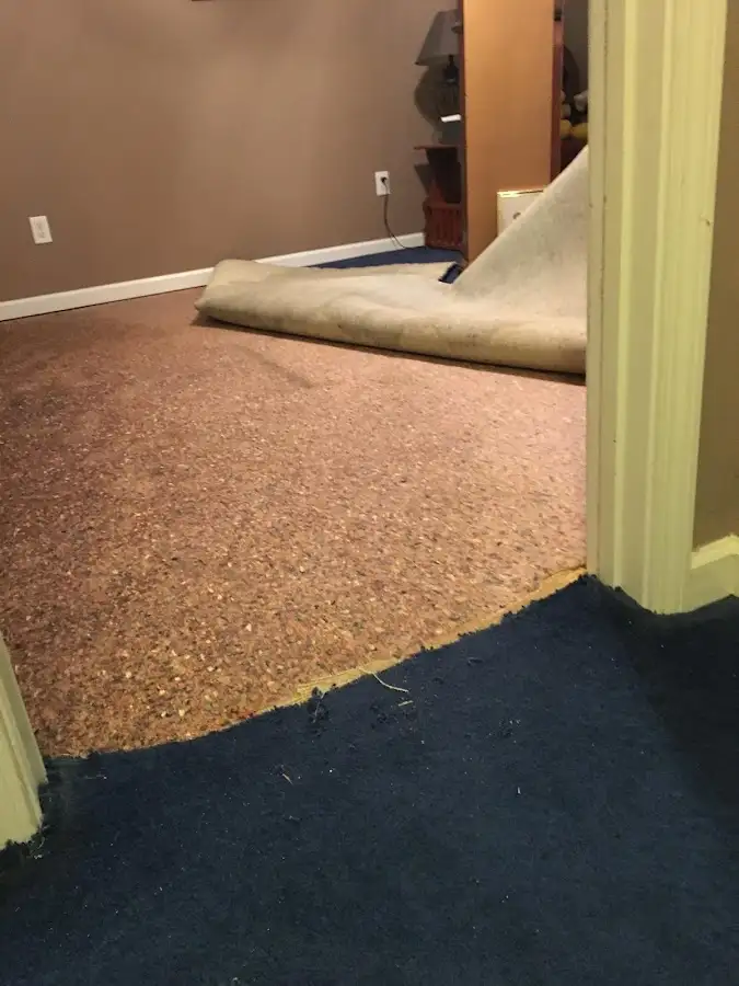 Carpet pad removal revealing water damage during Water Mitigation Services in Pevely