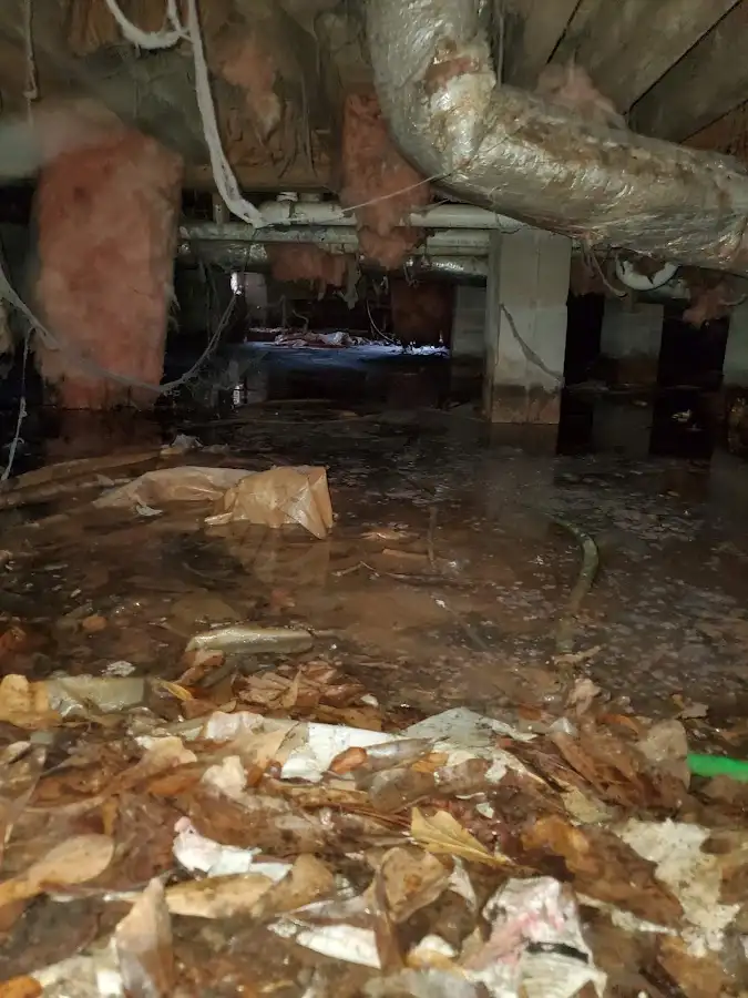Crawl space flood assessment for Leak Detection & Repair in Pevely
