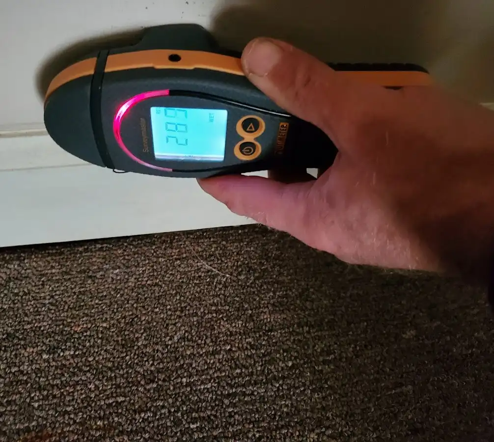 Moisture detection at baseboard during Sewage Cleanup & Sanitation in Pevely